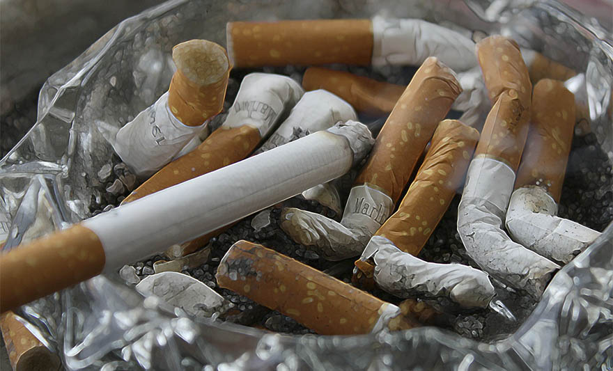 cigare cigarete.jpg